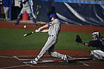 Click to see Y_DSC3970.JPG