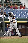 Click to see Y_DSC4941.JPG