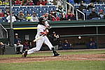 Click to see Y_DSC5316.JPG