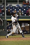 Click to see Y_DSC6446.JPG