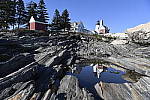 Click to see Y_DSC7206.JPG