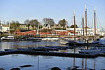 Click to see Y_DSC7229.JPG