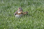 Click to see Y_DSC7356.JPG