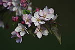 Click to see Y_DSC7760.JPG