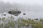 Click to see Y_DSC7879.JPG