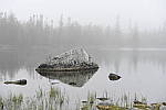 Click to see Y_DSC7882.JPG