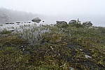 Click to see Y_DSC7897.JPG