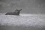 Click to see Y_DSC7920.JPG