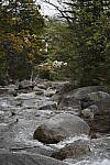 Click to see Y_DSC8022.JPG