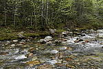 Click to see Y_DSC8031.JPG