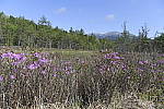 Click to see Y_DSC8034.JPG