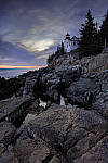 Click to see Y_DSC8152-MOD.JPG