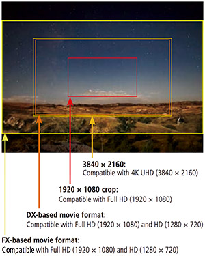 Nikon D5 Review