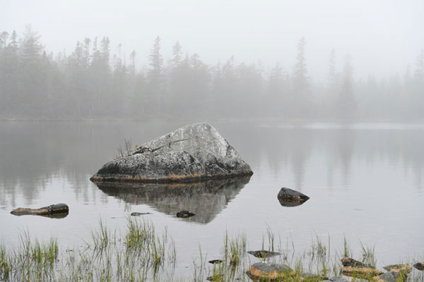 Nikon D5 Review: Field Test -- Gallery Image