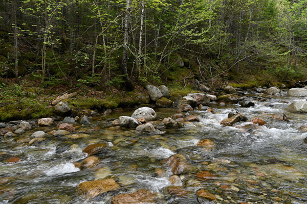 Nikon D5 Review: Field Test -- Gallery Image