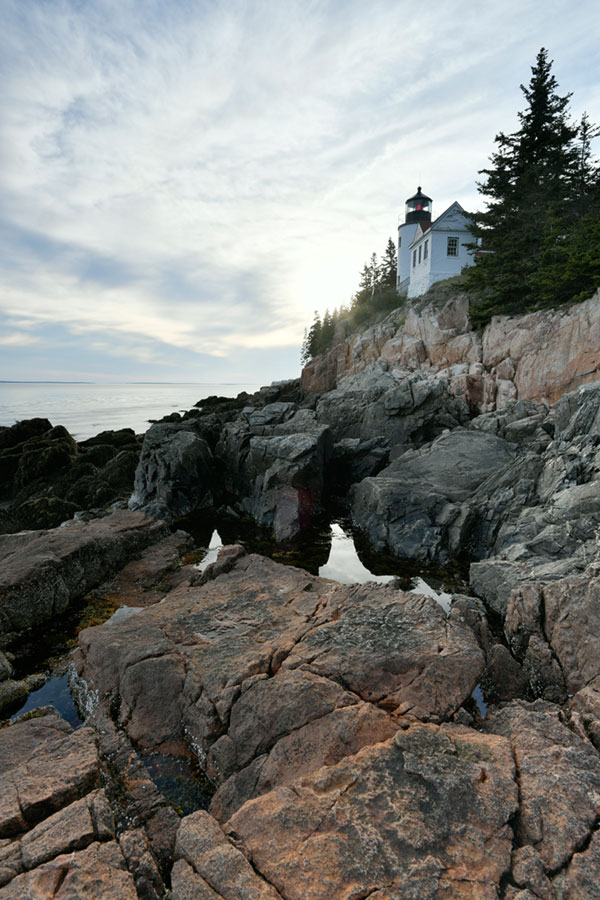 Nikon D5 Review: Field Test -- Gallery Image