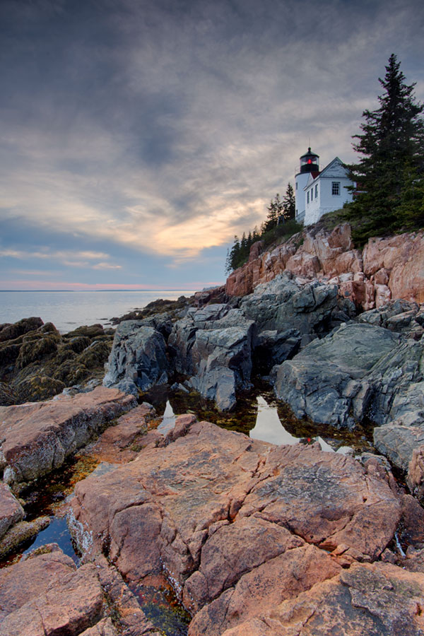 Nikon D5 Review: Field Test -- Gallery Image
