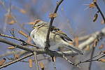 Click to see Y-D500-500PF-3457.JPG
