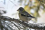 Click to see Y-D500-500PF-3502.JPG
