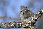 Click to see Y-D500-500PF-3754.JPG