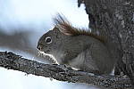 Click to see Y-D500-JG56109.JPG