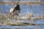 Click to see Y-D500-JG56893.JPG