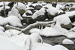 Click to see Y-JG-D500-SIGMA-105MM-3305.JPG