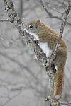 Click to see Y-JG-D500-SIGMA-60-600-3933.JPG