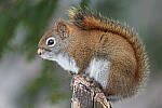 Click to see Y-JG-D500-SIGMA-60-600-4434-MOD.JPG