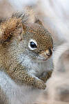 Click to see Y-JG-D500-SIGMA-60-600-5071-MOD.JPG
