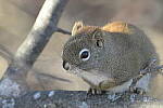 Click to see Y-JG-D500-SIGMA-60-600-5313.JPG
