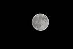 Click to see Y-JG-D500-SIGMA-60-600-5536.JPG