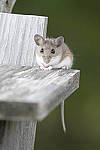 Click to see Y-d500-sigma100-400f5-63c-JG52683.JPG