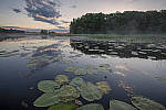 Click to see Y-nikon10-20f45-56g-JG59412-MOD.JPG