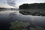 Click to see Y-nikon10-20f45-56g-JG59412.JPG