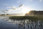 Click to see Y-nikon10-20f45-56g-JG59424.JPG