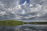 Click to see Y-nikon10-20f45-56g-JG59441.JPG