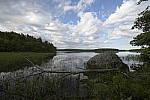Click to see Y-nikon10-20f45-56g-JG59463.JPG