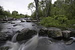 Click to see Y-nikon10-20f45-56g-JG59571.JPG