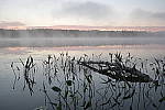 Click to see Y-nikon10-20f45-56g-JG59584.JPG