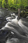 Click to see Y-nikon10-20f45-56g-JG59632-MOD.JPG