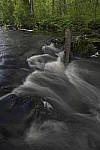 Click to see Y-nikon10-20f45-56g-JG59632.JPG
