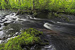 Click to see Y-nikon10-20f45-56g-JG59643-MOD.JPG