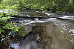 Click to see Y-nikon10-20f45-56g-JG59647.JPG