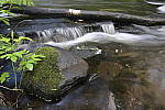 Click to see Y-nikon10-20f45-56g-JG59648.JPG