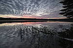 Click to see Y-nikon10-20f45-56g-JG59920.JPG