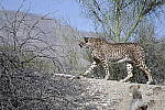 Click to see Y_DSC0528.JPG