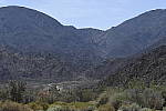Click to see Y_DSC0604.JPG