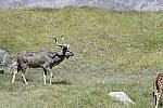 Click to see Y_DSC0652.JPG