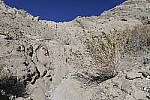Click to see Y_DSC0712.JPG